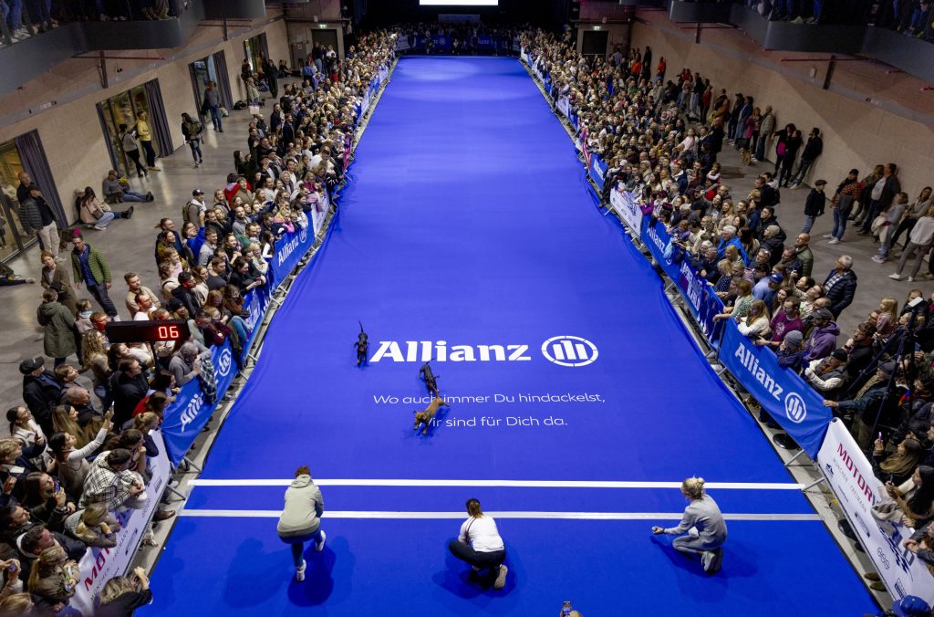 Dachshund Race Munich - Powered by Allianz