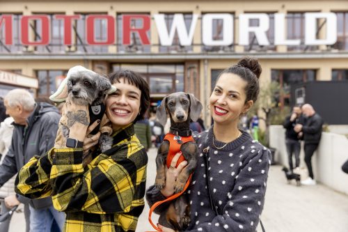 Zwei lächelnde Frauen, eine trägt ein gelb-schwarz kariertes Hemd und hält ein kleines graues Hundewelpen mit einem grünen Kostüm, die andere eine graue gepunktete Strickjacke und hält einen kleinen Dackel mit rotem Geschirr, im Hintergrund ein Gebäude mit dem Schriftzug MOTORWORLD und weitere Menschen.